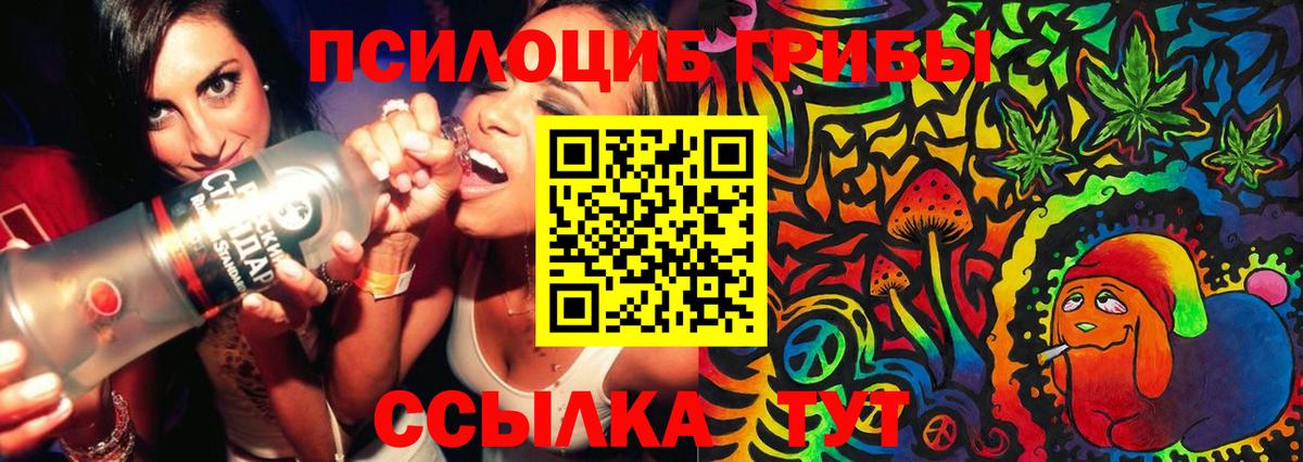 Галлюциногенные грибы Psilocybine cubensis  Вход с VPN  Североморск 