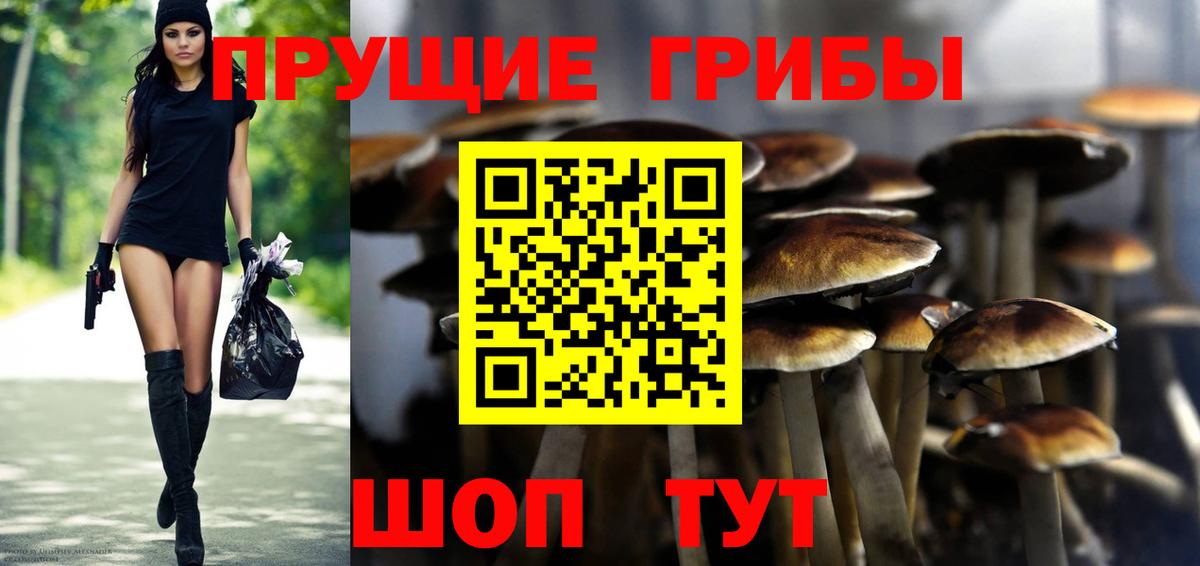 Псилоцибиновые грибы мухоморы Североморск